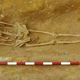 Illustration for article titled Trove of Decapitated Skeletons in England Sparks Archaeological Mystery